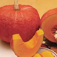 Тыква крупноплодная Конфетка 10шт