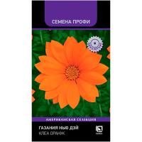 Поиск Газания Нью Дэй Клеа Оранж 10шт 