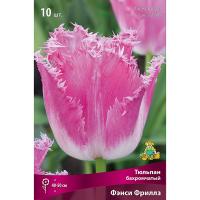 Тюльпан Бахромчатый Фэнси Фриллз (розовый с белой бахромой, 1ШТ 11/12) 755785