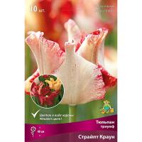 Тюльпан Триумф Страйпт Краун 7шт (11/12) 833188