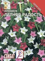 Сембат Ипомея Летняя радость  (Ёлочка) 5г ХХХL 