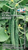 Огурец Настоящий мужик F1 0,2г Огурец Настоящий мужик F1 0,2г