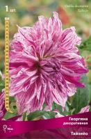 Георгина декоративная Тайхейо (I) 1 шт