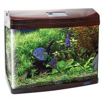 Аквариум прямоугольный укомплектованный 143,3л(75*42*56см) Вишня 375R Аквариум прямоугольный укомплектованный 143,3л(75*42*56см) Вишня 375R