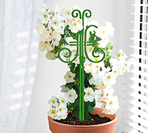 Шпалера для комнатных растений Бабочка 44*18см проволока 