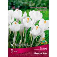 Крокус Крупноцветковый Жанна д'Арк (8/9) 10шт.