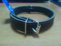 Ошейник кожа 20мм 1слойный Н/У 38-40см/40564