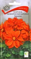 Георгина Барокко оранжевая 0,1г 