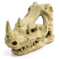 Грот Череп носорога 180*105*120мм 2802LD  Грот Череп носорога 180*105*120мм 2802LD
