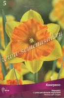 Нарцисс с Расщеплённой коронкой Конгресс (12/14) 5шт.