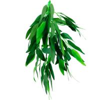 Растение Рускус 001TP 300мм Repti-Zoo/84045010