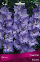 Гладиолус Крупноцветковый Мохито (12/14) 5 шт