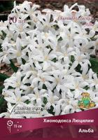 Хионодокса Люцилии Альба 10шт