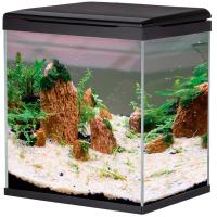 Аквариум 057 LED+top Filtr 35л черный/BARBUS Аквариум 057 LED+top Filtr 35л черный/BARBUS