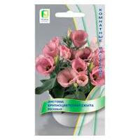 Эустома крупноцветковая Сюита Розовая 5шт