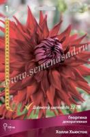 Георгина декоративная Холли Хьюстон (I) 1 шт