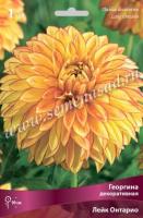 Георгина декоративная Лейк Онтарио (I) 1 шт 