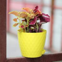 Кашпо Румба 1,5л лимон с прик. поддоном