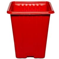 Рассадник 0,25л КВ7М красный 7*7*8см лист 0,8 / 3300шт/РС