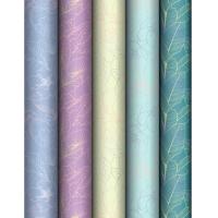 Упаковочная бумага 70*100см "Grace twigs" 80г/м2 глянц. ассорти 5 дизайнов MESHU /372641/Рельеф