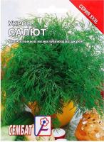 Укроп Салют 10г