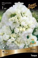 Флокс метельчатый Тиара (I) 1 шт