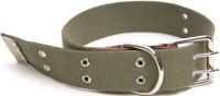 Ошейник брезентовый 45мм Н/У/180045/Бим