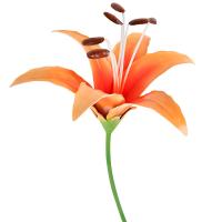 Стикер садовый Лилия Оранж 108843