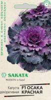 Капуста декоративная Осака красная 6шт