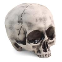 Грот Капитан Флинт 108*108*118мм 2808LD  Грот Капитан Флинт 108*108*118мм 2808LD