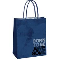 Пакет подарочный 18*23*10см "Awesome" глянц. ламинация MESHU/Рельеф Пакет подарочный 18*23*10см "Awesome" глянц. ламинация MESHU/Рельеф