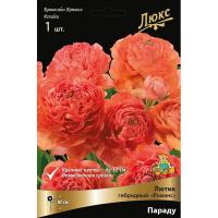 Лютик гибридный Романс Параду /К 839688