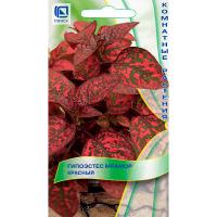 Поиск Гипоэстес Мрамор красный 7шт 