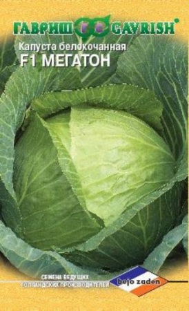 91f56d68_64bb_11ec_80bb_00155d018207_18298b28_c114_11ea_80e3_00155d01ce0e.jpg 91f56d68_64bb_11ec_80bb_00155d018207_18298b28_c114_11ea_80e3_00155d01ce0e.jpg