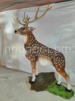Олень Олень