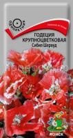 Годеция крупноцветковая Сибил Шервуд Годеция крупноцветковая Сибил Шервуд