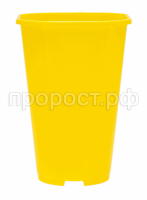 Роза (6) Роза (6)