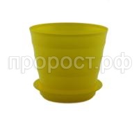 лаура с под (8) лаура с под (8)