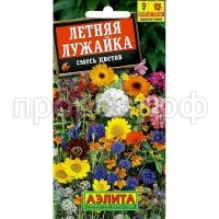 летняя лужайка