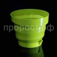 Акцент-фисташка-600x600