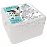 zj4pis0wcwpwidek4wgqnugxam3sdsce zj4pis0wcwpwidek4wgqnugxam3sdsce