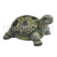 черепаха 673 черепаха 673
