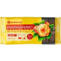 яркая бегония 5