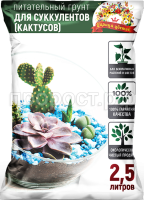 25л-суккуленты