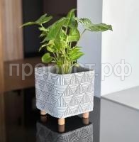 этно на ножках