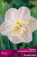 Нарцисс с Расщеплённой коронкой Папийон Блан (5шт, 12-14) 723265