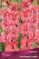 m99pmner6g94drvbsf6wykyqbv2d6qer