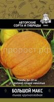 Тыква крупноплодная Большой Макс 10шт