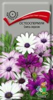 Остеоспермум Смесь окрасок Остеоспермум Смесь окрасок