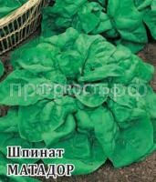 10005496_mini4 10005496_mini4